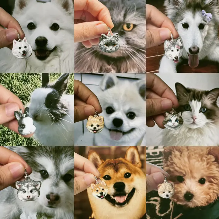 A grid of pets next to their clay portraits