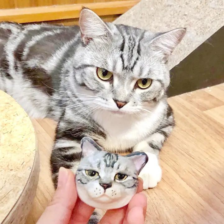 A tabby cat beside its clay portrait