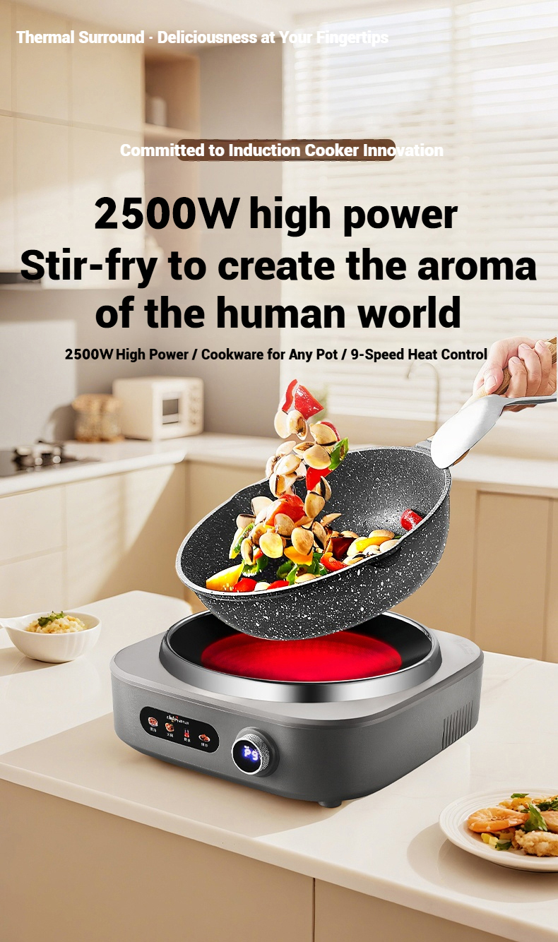 TQIU V3 Single Burner Infrared Cooker