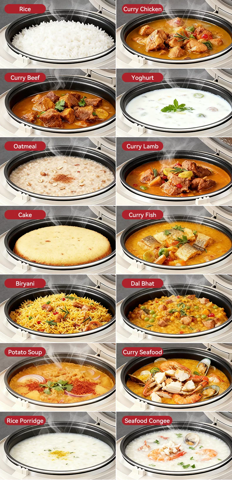 TQIU Multi Functional Fast Cooking Rice Cooker - product details