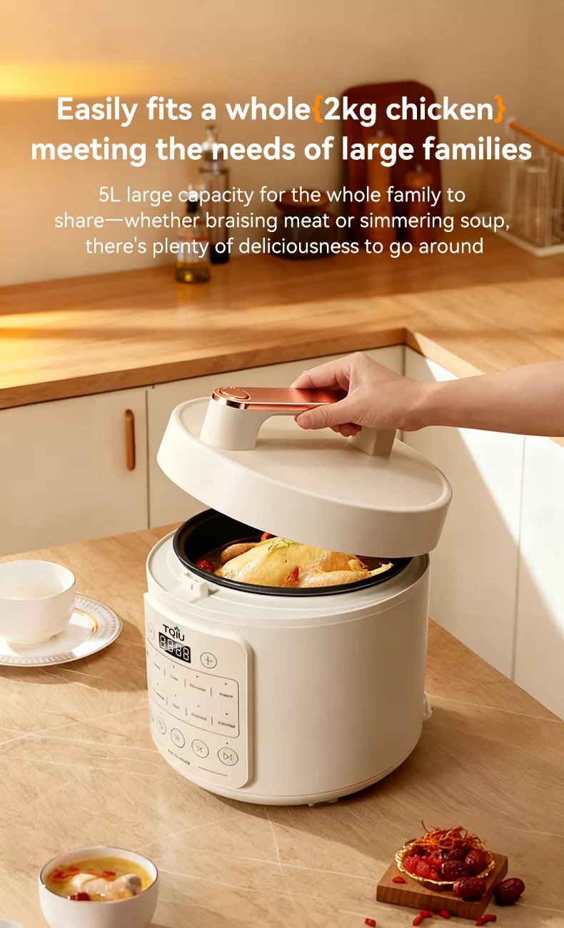 TQIU Multi Functional Fast Cooking Rice Cooker - product image 8