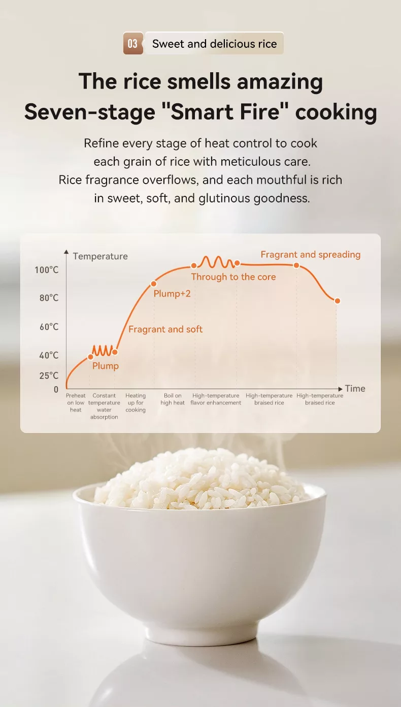 TQIU Multi Functional Fast Cooking Rice Cooker - product image 10