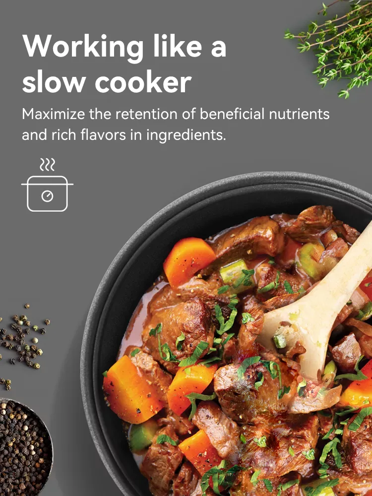 TQIU Multi Functional Fast Cooking Rice Cooker - product image 4