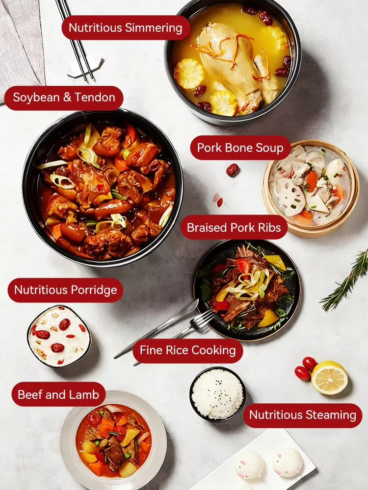 TQIU Multi Functional Fast Cooking Rice Cooker - product features