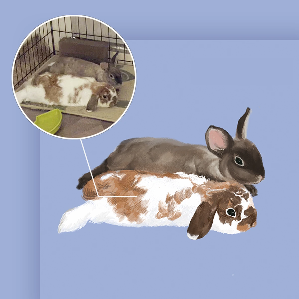 Custom hand-drawn pet portrait example