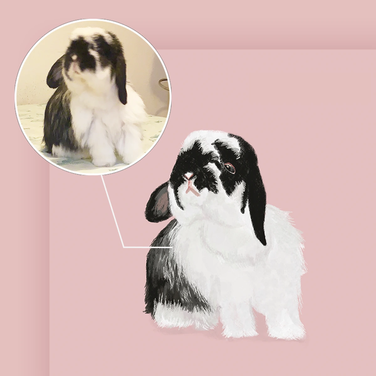 Custom hand-drawn pet portrait example